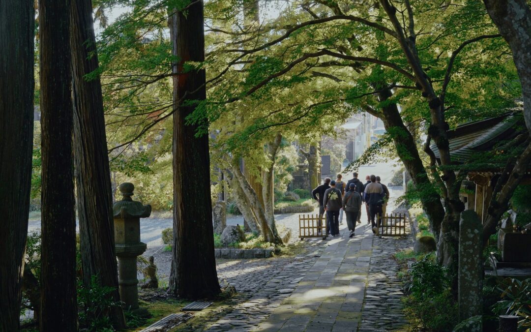 Retrojungle writing Camp