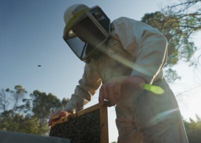 Les gardiens du Gardon